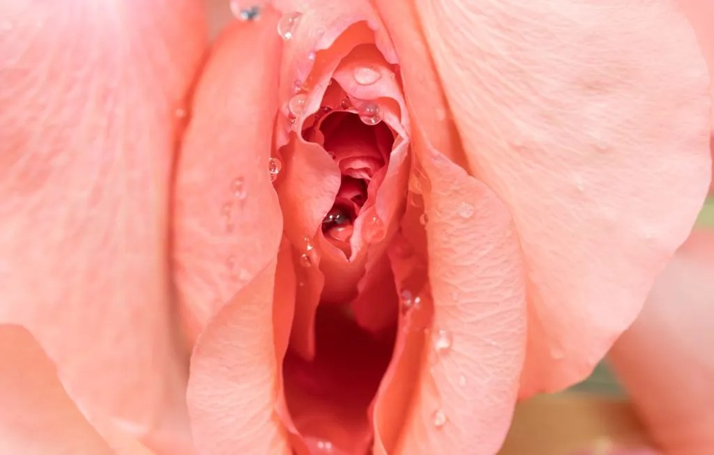 Living with Vulvar Autoimmune Disease: My&nbsp;Journey